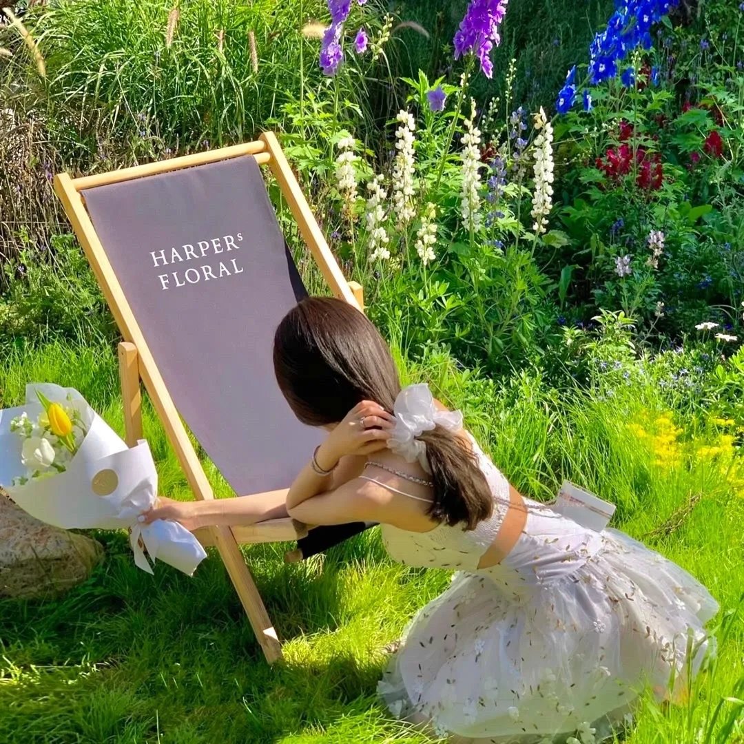 说谎的咪君与坏掉的麻酱