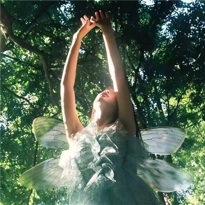 海柏利昂超能家族